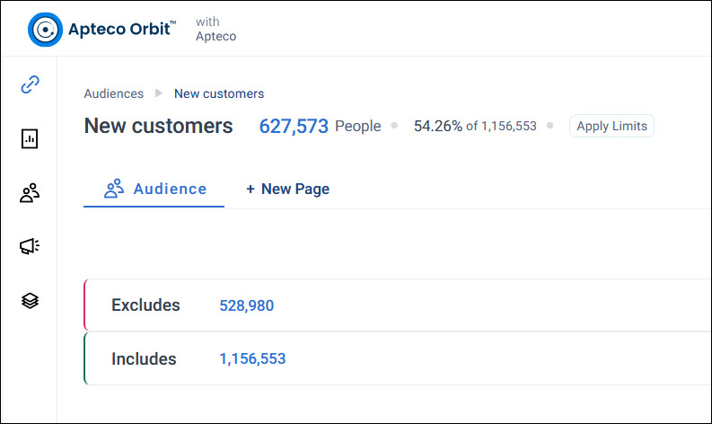 Audience workbook An audience workbook, showing the Audience tab with Excludes and Includes