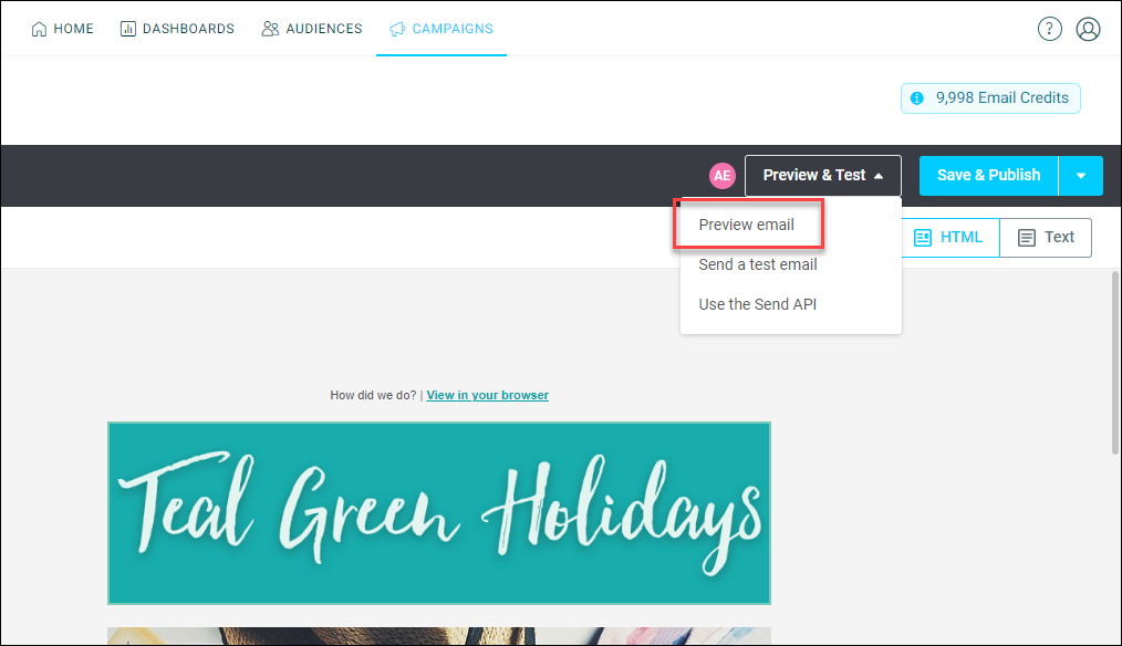 Preview Email