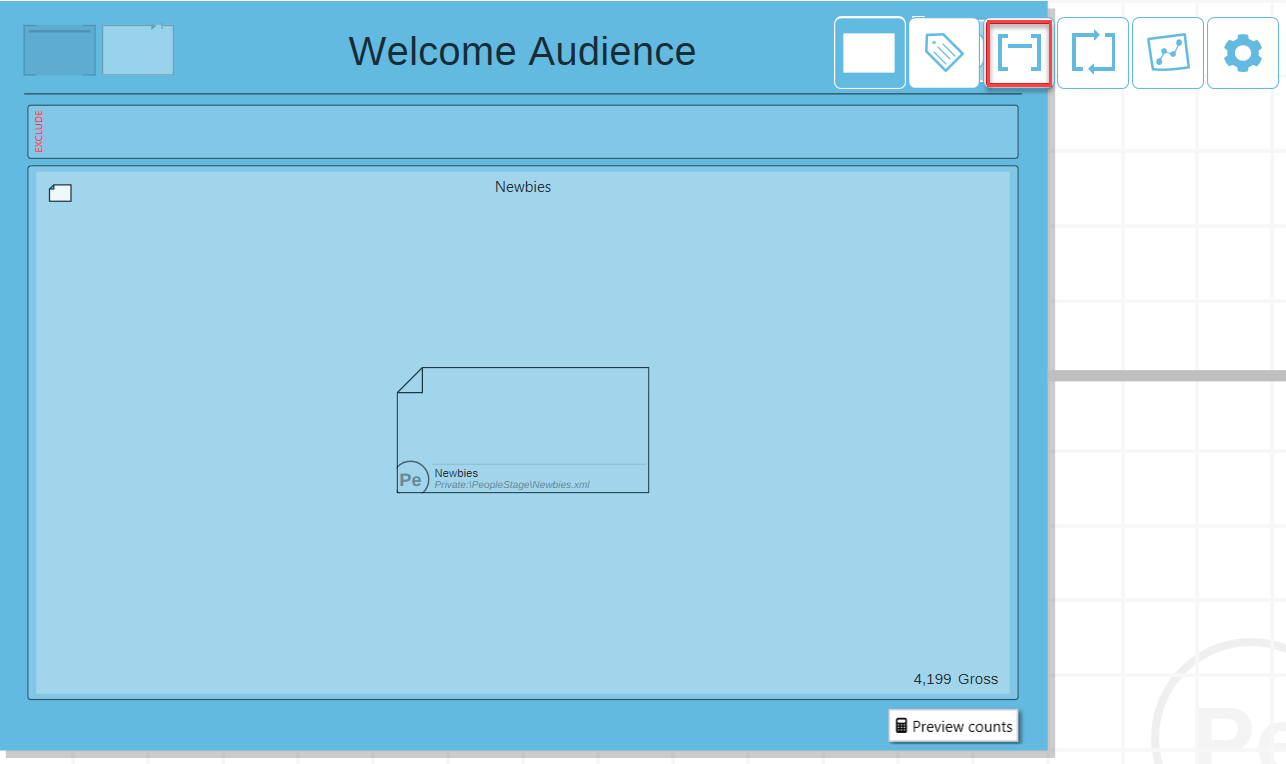 Audience Constraints View Audience Constraints View